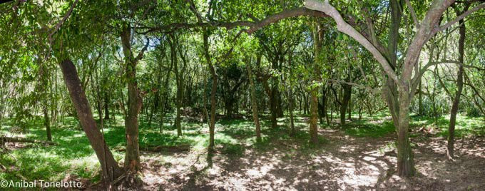 _DSC8434 Panorama.jpg